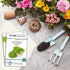 Navika Seeds Grow With Us Lettuce Green Hybrid Vegetable Seed